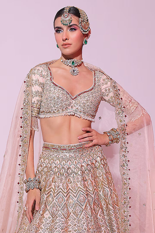 Powder Peach Raw Silk Zari Embroidered Lehenga Set