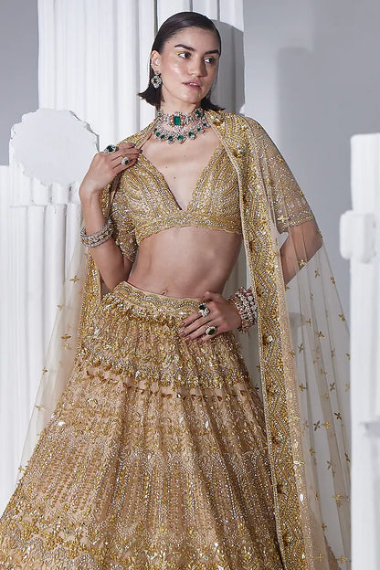 Gold net swarovski embroidered lehenga set