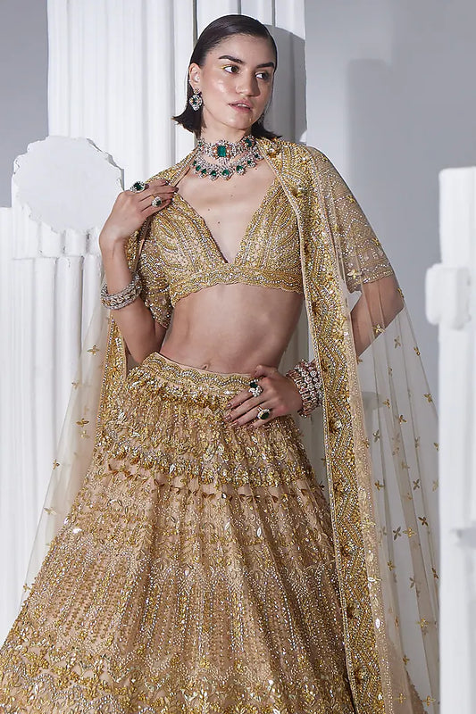 Gold net swarovski embroidered lehenga set
