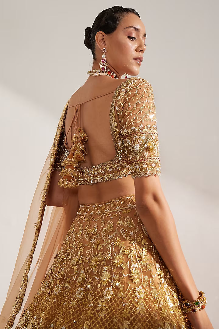 Gold net crystal embroidered lehenga set