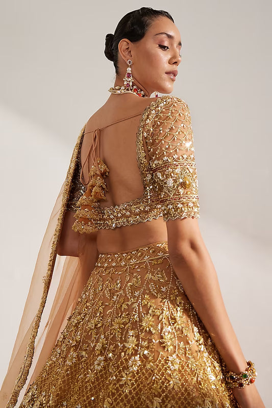 Gold net crystal embroidered lehenga set