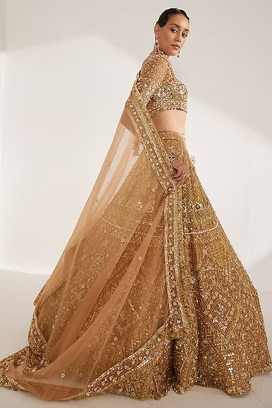Gold net crystal embroidered lehenga set