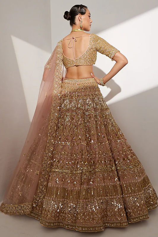 Blush pink net sequins & nalki embroidered lehenga set