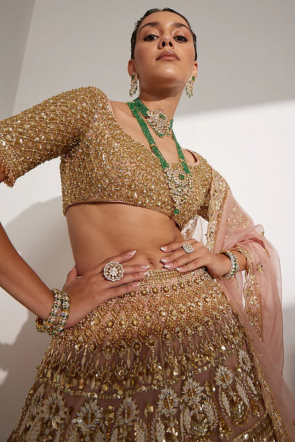 Blush pink net sequins & nalki embroidered lehenga set