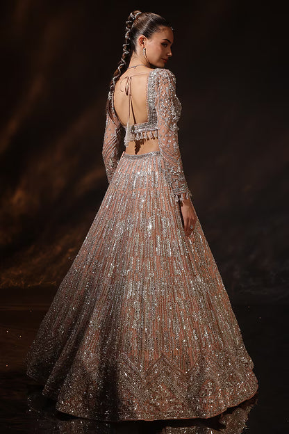 Nude Silk Embroidered Lehenga Set