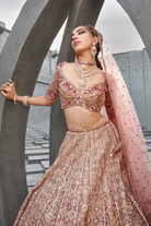 Raw Silk Butterfly Net Aiza Bridal Lehenga Set