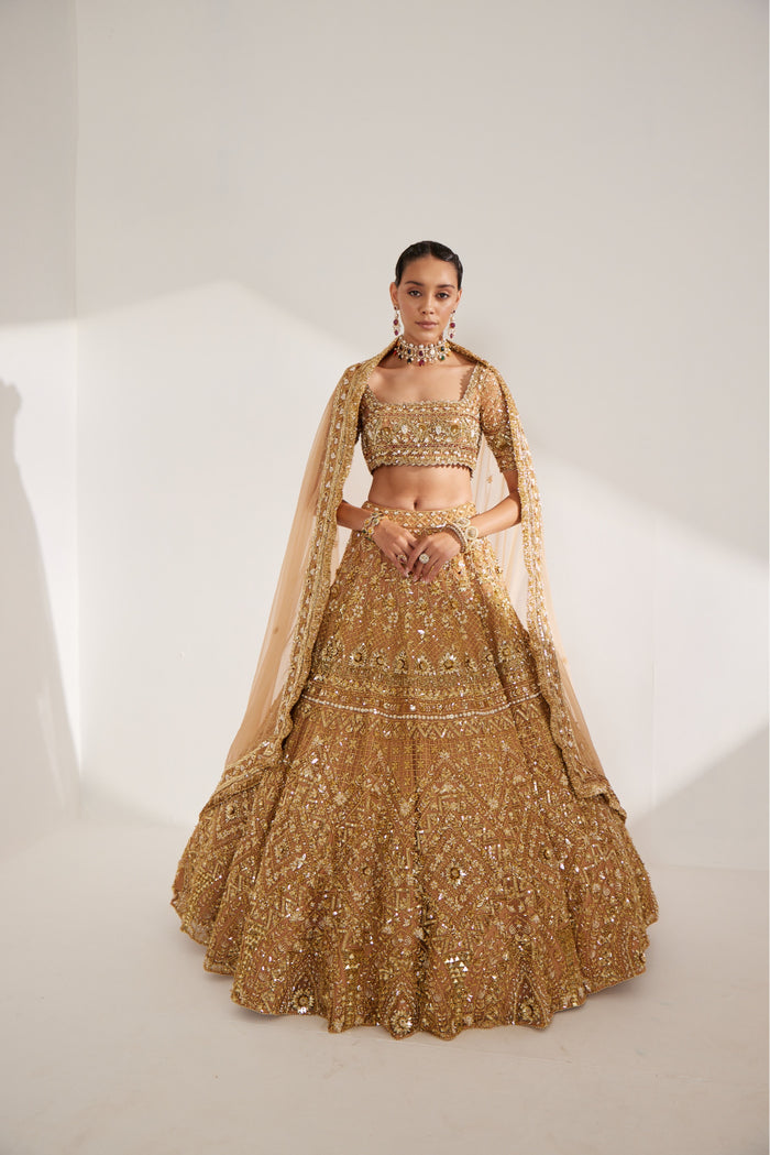 Gold Embellished Lehenga Set