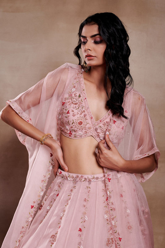 ROSA QUEEN