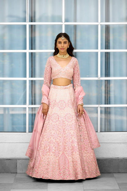Blush Blossom Women wear Lehenga set
