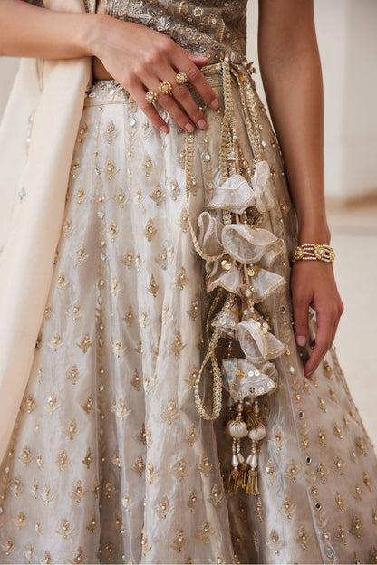 Tissue Lehenga Set