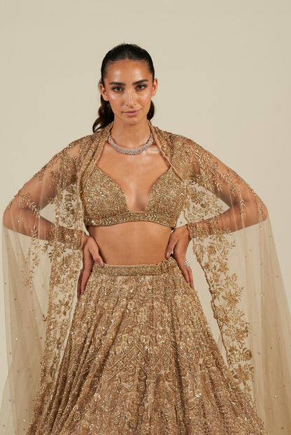 SITARA OMBRE LEHENGA