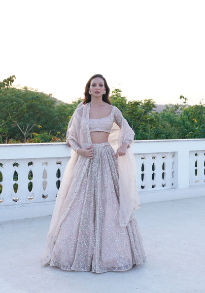 Blush Pink Heavy Sitara Lehenga Set