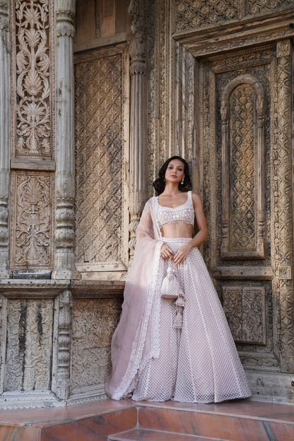 Grey With White Moti Jaal Work Lehenga Set