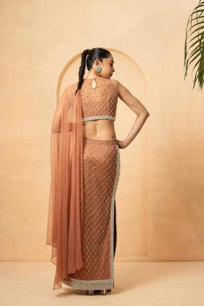 Beige Embroidered Saree with Drape Dupatta