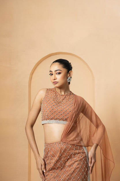Beige Embroidered Saree with Drape Dupatta
