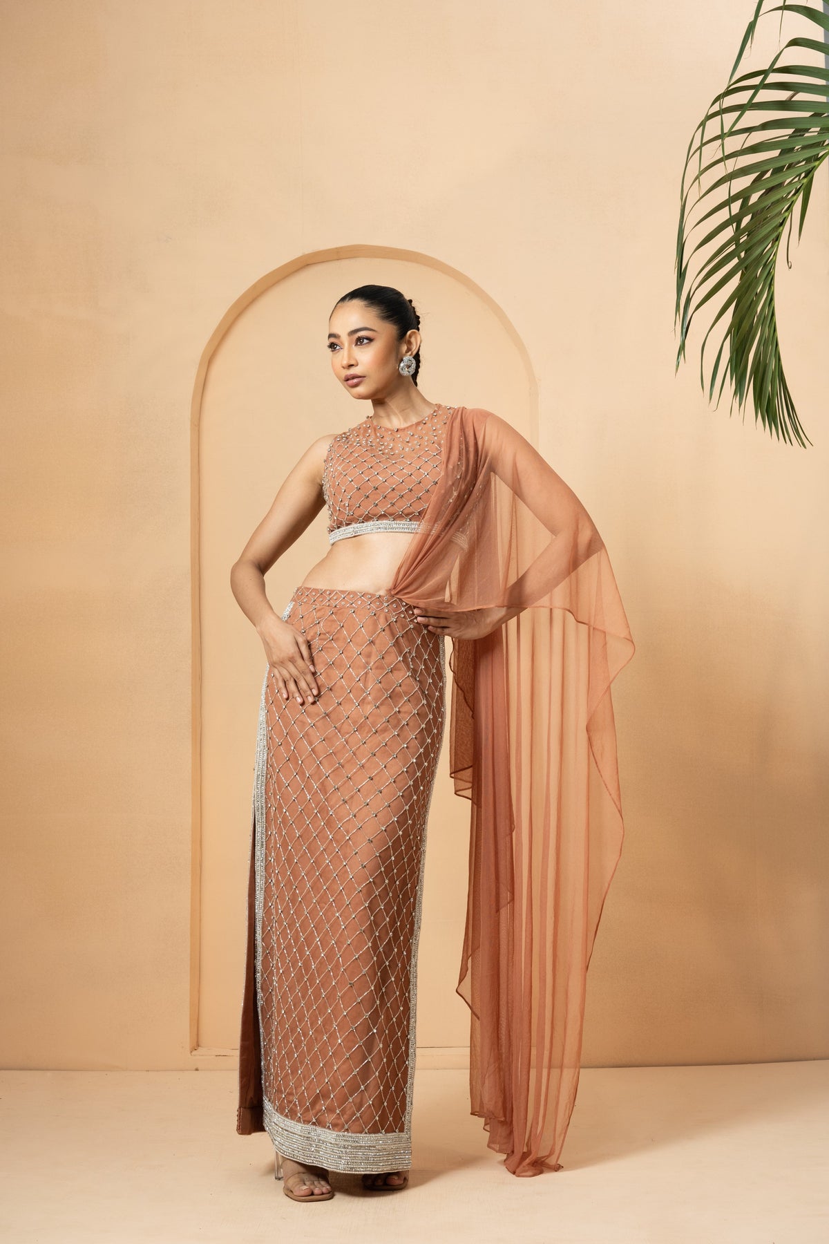 Beige Embroidered Saree with Drape Dupatta