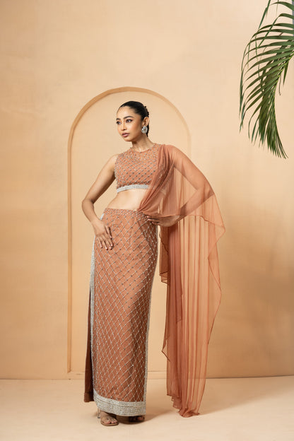 Beige Embroidered Saree with Drape Dupatta