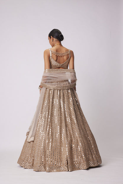 Light Beige Hand Embroidered Lehenga Set