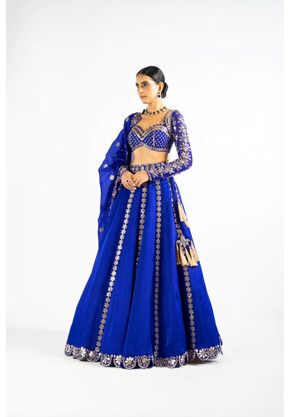 Royal Blue Embellished Blouse And Lehenga Set