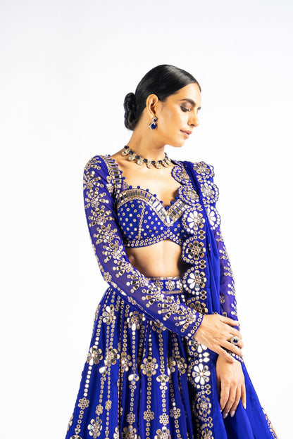 Royal Blue Big Flower Linear Lehenga Set