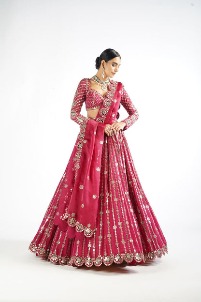 Mellow Wine Small Flower Linear Lehenga Set