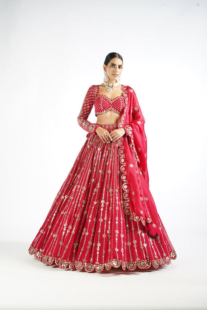 Crimson Red Small Flower Linear Lehenga Set