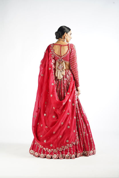 Crimson Red Small Flower Linear Lehenga Set