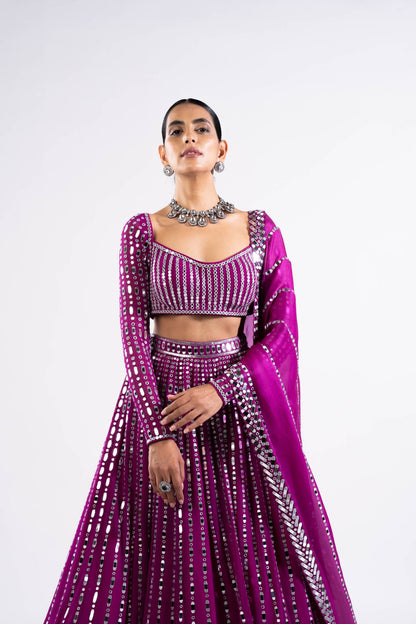 Pop Wine Linear Drop Lehenga Set