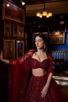Valentine Red Tulle Crystal Sequin Embroidered Lehenga Set