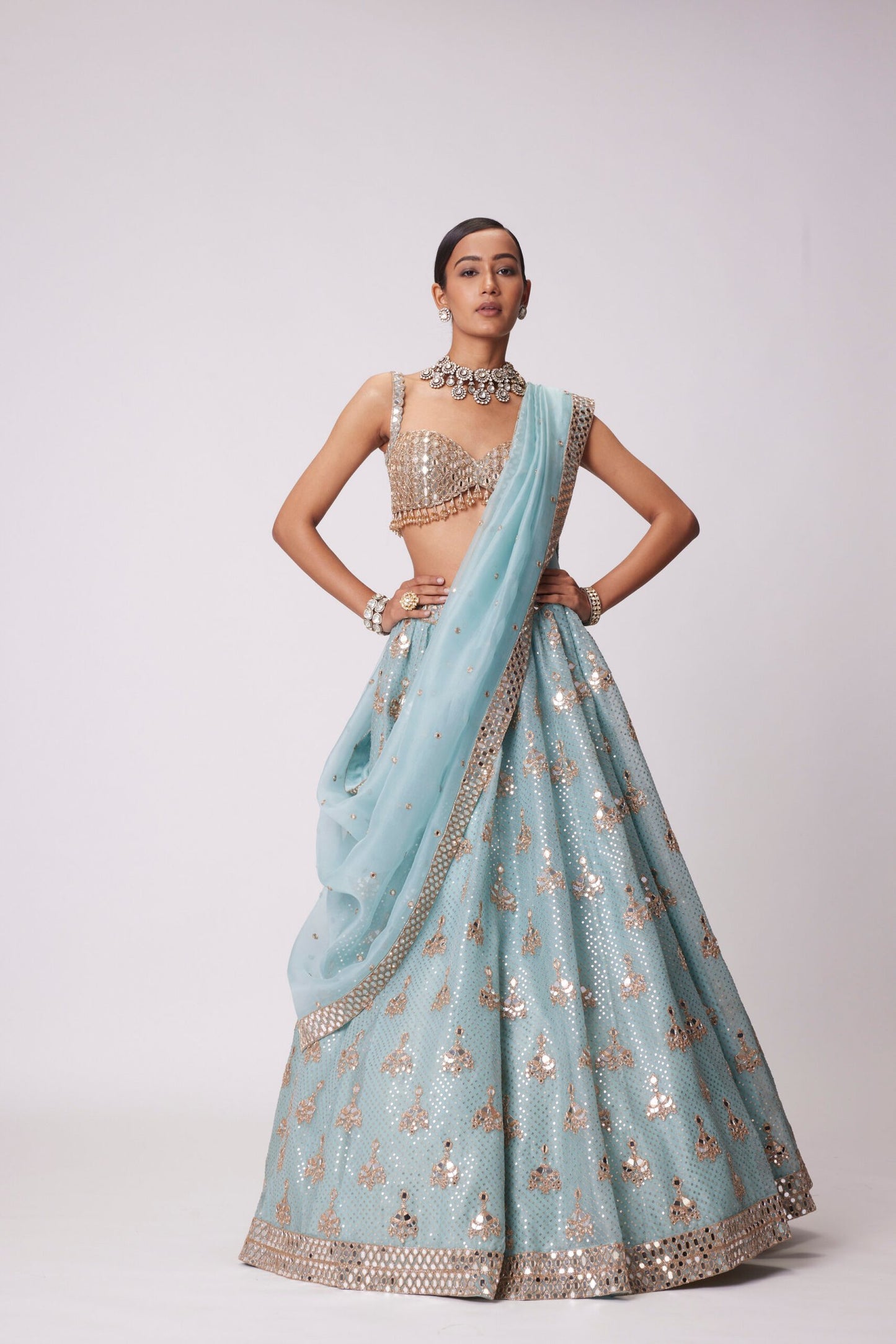 Powder Blue Organza Sequin Embroidered Lehenga Set
