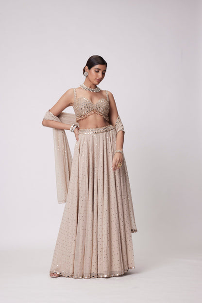 Light Beige Georgette Lehenga Pants  Set