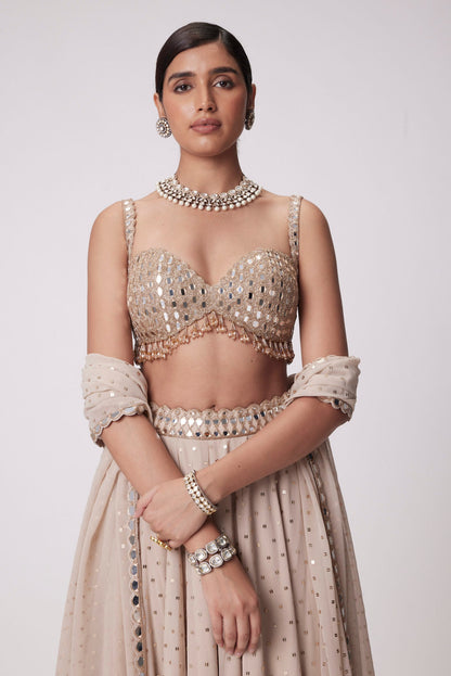 Light Beige Georgette Lehenga Pants  Set
