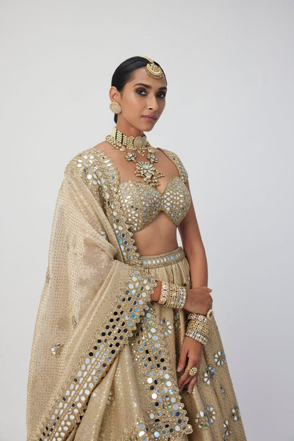 Golden Shimmer Organza Flower Lehenga Set