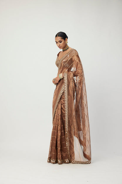 Copper  Shimmer Organza Saree Set