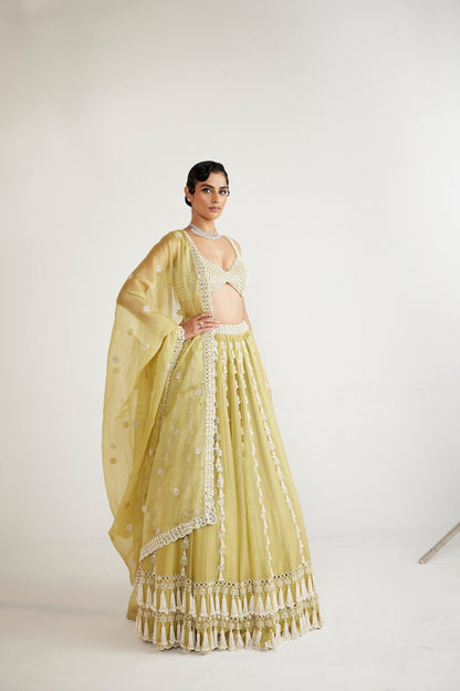 Fern Green Chandelier Pearl Drop Lehenga set