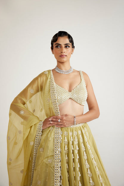 Fern Green Chandelier Pearl Drop Lehenga set