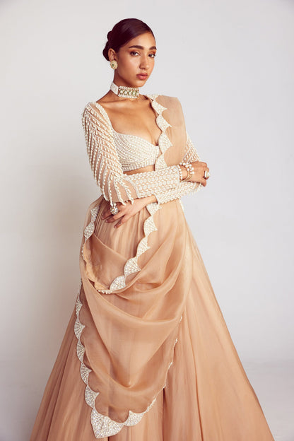 Beige Pearl Chandelier Drop Organza Lehenga Set