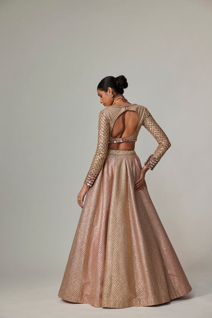 DEEP BEIGE MULTICOLOR SKIRT WITH V NECK FULL SLEEVE BLOUSE