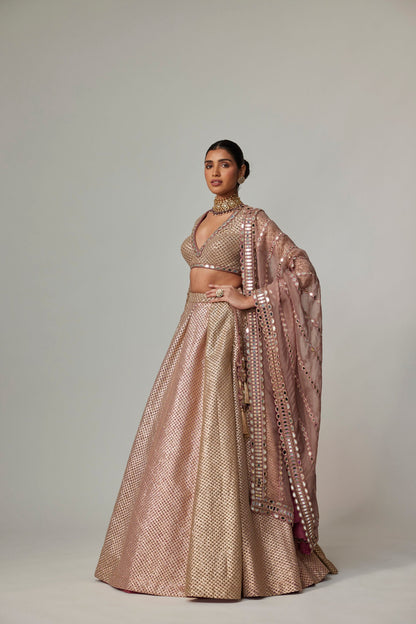 DEEP BEIGE MULTICOLOR SKIRT WITH V NECK FULL SLEEVE BLOUSE