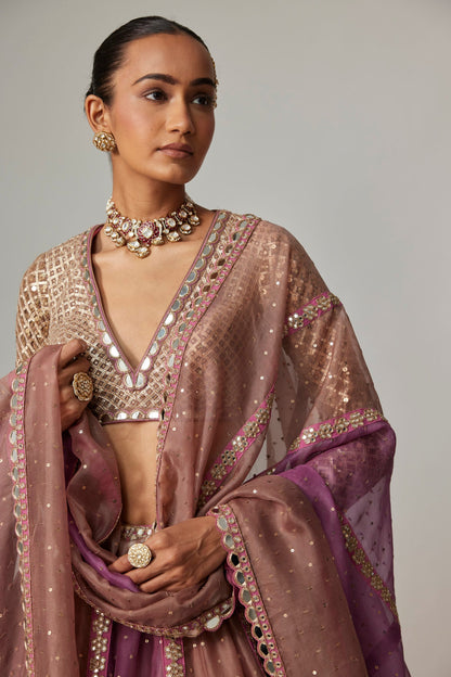 MUD MAUVE MULTICOLOR CHITA SEQUIN SCATTERED LEHENGA SET WITH V NECK FULL SLEEVES