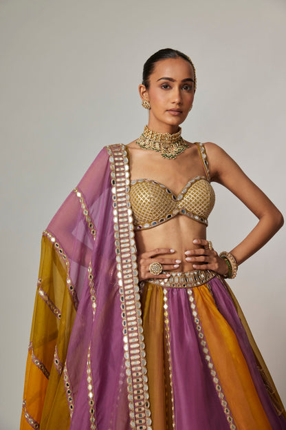 Mustard Multicolour Linear Lehenga With Sweetheart Blouse