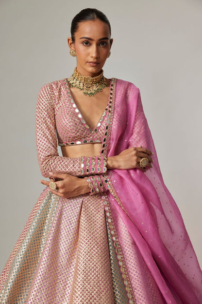 DARK BLUSH MULTICOLOR METALLIC GOTA LEHENGA WITH DARK BLUSH DUPATTA