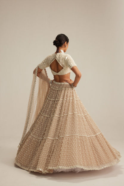 Light Beige Pearl Drop Lehenga with High Neck Blouse