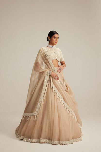 Light Beige Organza Lehenga Set with High Neck Blouse