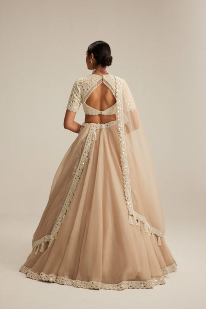 Light Beige Organza Lehenga Set with High Neck Blouse