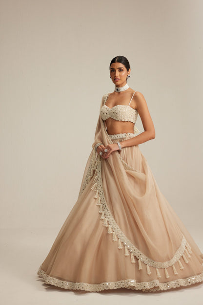 Light Beige Organza Lehenga Set