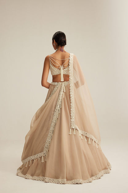 Light Beige Organza Lehenga Set