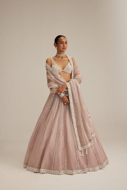 Ash Pink Pearl &amp; Mirror linear Lehenga with V neck Blouse
