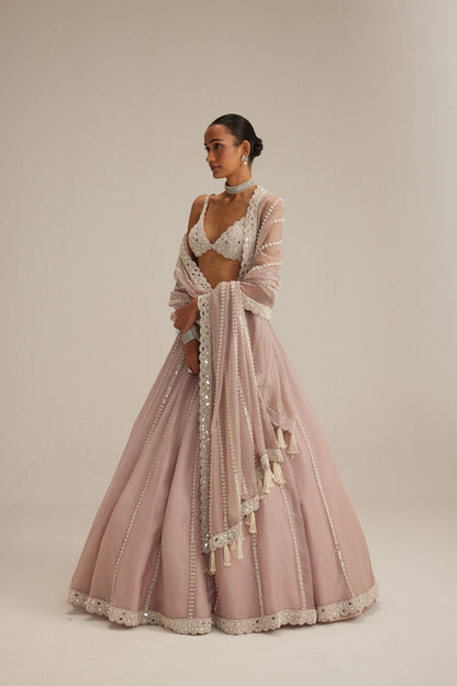 Ash Pink Pearl &amp; Mirror linear Lehenga with V neck Blouse