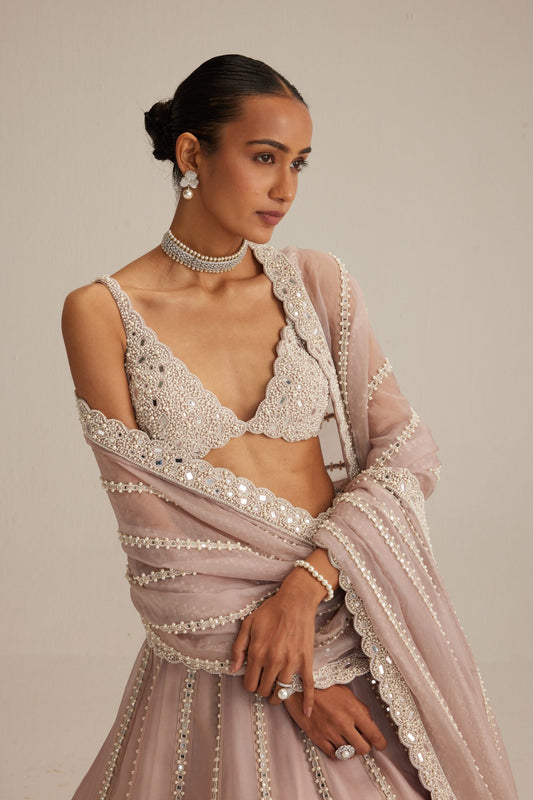 Ash Pink Pearl &amp; Mirror linear Lehenga with V neck Blouse